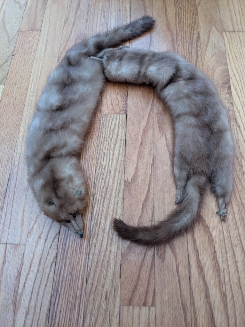 Vintage Pastel Mink Fur Stole 2 Full Pelts Heads Tails Wrap 40"